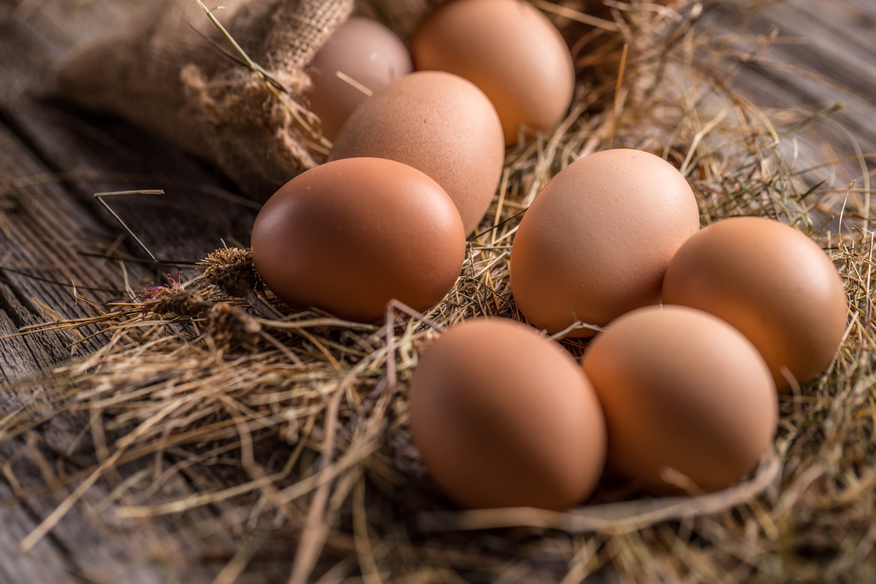 Farm Fresh Eggs vs Store Bought – Mother Earth News