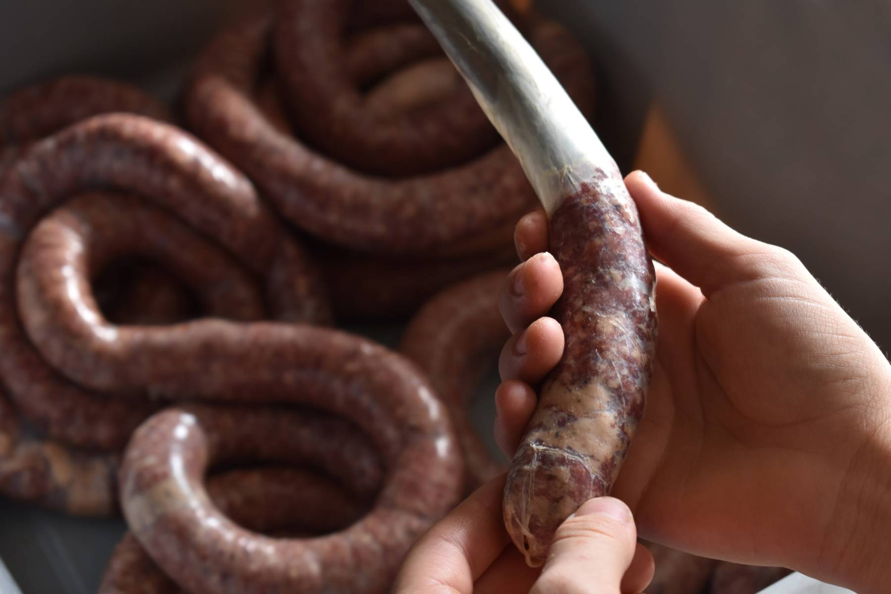 How to Make Deer Sausage – Mother Earth News